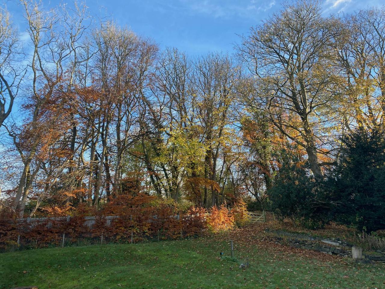 Mill Cottage Garden Studio Nr Мелроуз Экстерьер фото